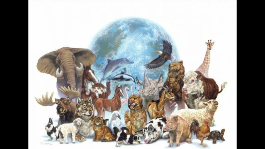 Изображение к новости Межрегиональный конкурс «В мире животных»